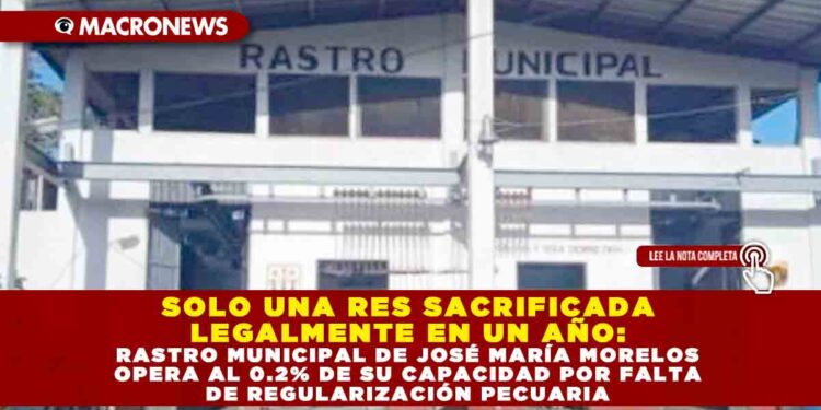 SOLO UNA RES SACRIFICADA LEGALMENTE EN UN AÑO: RASTRO MUNICIPAL DE JOSÉ MARÍA MORELOS OPERA AL 0.2% DE SU CAPACIDAD POR FALTA DE REGULARIZACIÓN PECUARIA