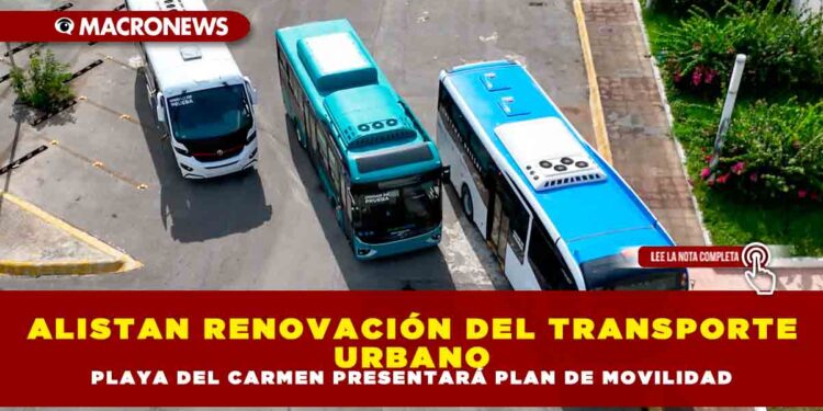 ALISTAN RENOVACIÓN DEL TRANSPORTE URBANO: PLAYA DEL CARMEN PRESENTARÁ PLAN DE MOVILIDAD
