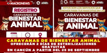 CARAVANAS DE BIENESTAR ANIMAL OFRECERÁN 2 DÍAS DE ESTERILIZACIONES GRATUITAS EN CANCÚN A PARTIR DEL 25 DE SEPTIEMBRE