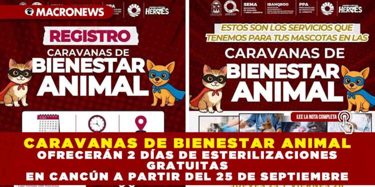 CARAVANAS DE BIENESTAR ANIMAL OFRECERÁN 2 DÍAS DE ESTERILIZACIONES GRATUITAS EN CANCÚN A PARTIR DEL 25 DE SEPTIEMBRE