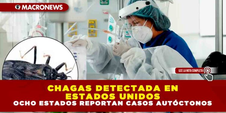 CHAGAS DETECTADA EN ESTADOS UNIDOS: OCHO ESTADOS REPORTAN CASOS AUTÓCTONOS