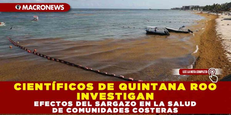 CIENTÍFICOS DE QUINTANA ROO INVESTIGAN EFECTOS DEL SARGAZO EN LA SALUD DE COMUNIDADES COSTERAS