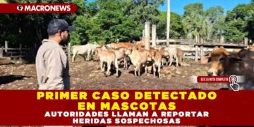 PRIMER CASO DETECTADO EN MASCOTAS: AUTORIDADES LLAMAN A REPORTAR HERIDAS SOSPECHOSAS