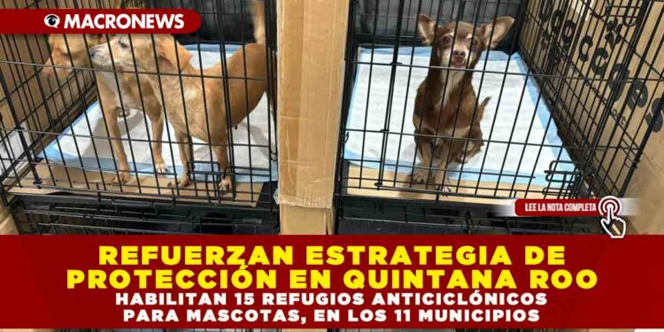 REFUERZAN ESTRATEGIA DE PROTECCIÓN EN QUINTANA ROO; HABILITAN 15 REFUGIOS ANTICICLÓNICOS PARA MASCOTAS, EN LOS 11 MUNICIPIOS