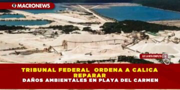 TRIBUNAL FEDERAL  ORDENA A CALICA  REPARAR  DAÑOS AMBIENTALES EN PLAYA DEL CARMEN