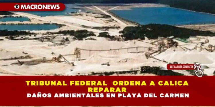 TRIBUNAL FEDERAL  ORDENA A CALICA  REPARAR  DAÑOS AMBIENTALES EN PLAYA DEL CARMEN