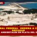 TRIBUNAL FEDERAL  ORDENA A CALICA  REPARAR  DAÑOS AMBIENTALES EN PLAYA DEL CARMEN