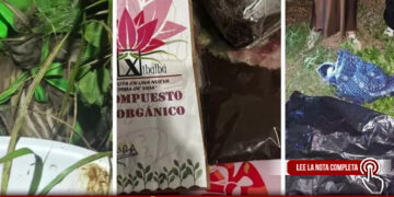 INDIGNACIÓN EN CHETUMAL: INCINERADORA XIBALBÁ ENTREGABA TIERRA EN LUGAR DE CENIZAS Y DESATÓ INVESTIGACIÓN POR MALTRATO ANIMAL