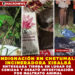 INDIGNACIÓN EN CHETUMAL: INCINERADORA XIBALBÁ ENTREGABA TIERRA EN LUGAR DE CENIZAS Y DESATÓ INVESTIGACIÓN POR MALTRATO ANIMAL