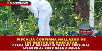 FISCALÍA CONFIRMA HALLAZGO DE 105 RESTOS DE MASCOTAS CERCA DE LA MEGAESCULTURA DE CHETUMAL LIGADOS AL CASO CASA XIBALBÁ