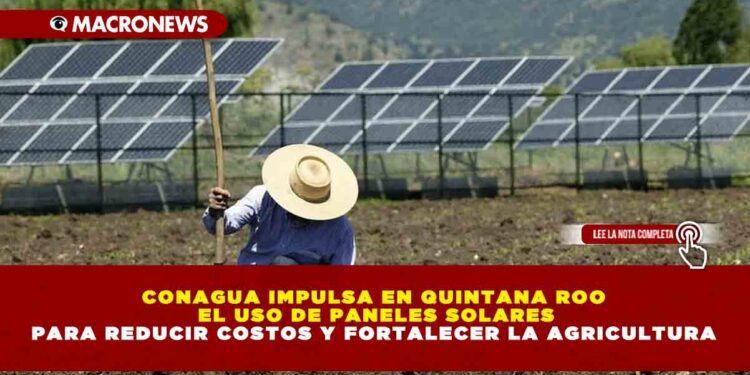 CONAGUA IMPULSA EN QUINTANA ROO EL USO DE PANELES SOLARES PARA REDUCIR COSTOS Y FORTALECER LA AGRICULTURA
