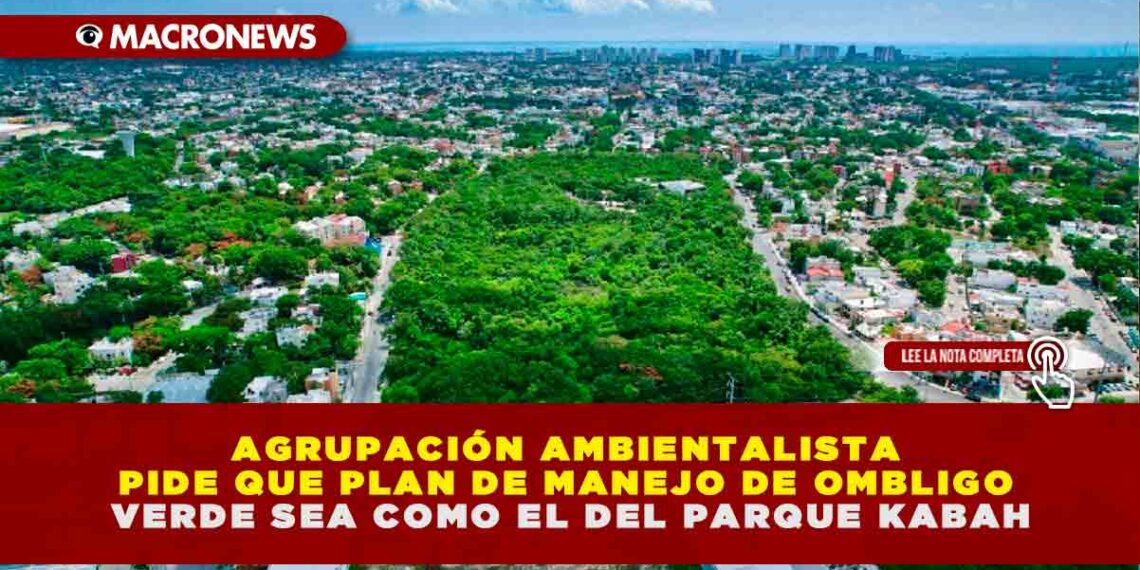 AGRUPACIÓN AMBIENTALISTA PIDE QUE PLAN DE MANEJO DE OMBLIGO VERDE SEA COMO EL DEL PARQUE KABAH