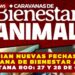 ANUNCIAN NUEVAS FECHAS DE LA CARAVANA DE BIENESTAR ANIMAL EN QUINTANA ROO: 27 Y 28 DE OCTUBRE