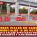 CIERRES VIALES EN CANCÚN HOY MIÉRCOLES 15 DE OCTUBRE: AL MENOS 6 CALLES Y AVENIDAS AFECTADAS POR OBRAS DEL PUENTE NICHUPTÉ Y MANTENIMIENTO URBANO