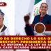«ESTADO DE DERECHO LO USA QUIÉN NO PAGA IMPUESTOS”: PRESIDENTA SHEINBAUM SOBRE REFORMA A LA LEY DE AMPARO EN EL CASO RICARDO SALINAS PLIEGO