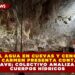 90% DEL AGUA EN CUEVAS Y CENOTES DE PLAYA DEL CARMEN PRESENTA CONTAMINACIÓN GRAVE; COLECTIVO ANALIZA 25 CUERPOS HÍDRICOS