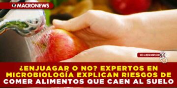 ¿ENJUAGAR O NO? EXPERTOS EN MICROBIOLOGÍA EXPLICAN RIESGOS DE COMER ALIMENTOS QUE CAEN AL SUELO