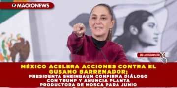 MÉXICO ACELERA ACCIONES CONTRA EL GUSANO BARRENADOR; PRESIDENTA SHEINBAUM CONFIRMA DIÁLOGO CON TRUMP Y ANUNCIA PLANTA PRODUCTORA DE MOSCA PARA JUNIO