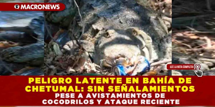 PELIGRO LATENTE EN BAHÍA DE CHETUMAL: SIN SEÑALAMIENTOS PESE A AVISTAMIENTOS DE COCODRILOS Y ATAQUE RECIENTE