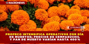PROFECO INTENSIFICA OPERATIVOS POR DÍA DE MUERTOS; PRECIOS DE CEMPASÚCHIL Y PAN DE MUERTO VARÍAN HASTA 400 %