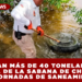 RETIRAN MÁS DE 40 TONELADAS DE BASURA DE LA SABANA DE CHETUMAL EN JORNADAS DE SANEAMIENTO