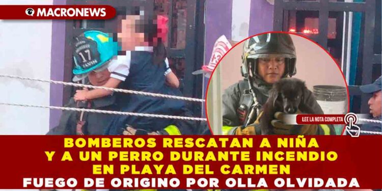 BOMBEROS RESCATAN A NIÑA Y A UN PERRO DURANTE INCENDIO EN PLAYA DEL CARMEN; FUEGO SE ORIGINÓ POR OLLA OLVIDADA EN ESTUFA