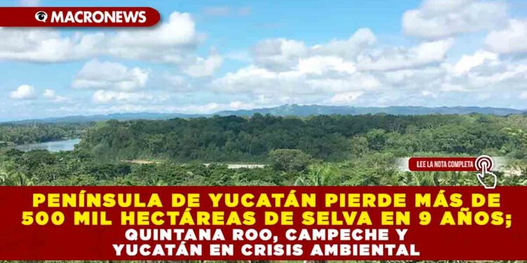 PENÍNSULA DE YUCATÁN PIERDE MÁS DE 500 MIL HECTÁREAS DE SELVA EN NUEVE AÑOS; QUINTANA ROO, CAMPECHE Y YUCATÁN EN CRISIS AMBIENTAL