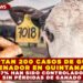 REPORTAN 200 CASOS DE GUSANO BARRENADOR EN QUINTANA ROO: 87% HAN SIDO CONTROLADOS SIN PÉRDIDAS DE GANADO