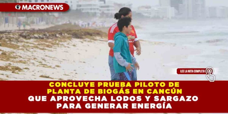 CONCLUYE PRUEBA PILOTO DE PLANTA DE BIOGÁS EN CANCÚN QUE APROVECHA LODOS Y SARGAZO PARA GENERAR ENERGÍA