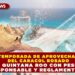 INICIA TEMPORADA DE APROVECHAMIENTO DEL CARACOL ROSADO EN QUINTANA ROO CON PESCA RESPONSABLE Y REGLAMENTADA