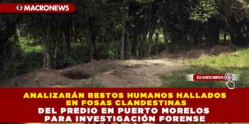ANALIZARÁN RESTOS HUMANOS HALLADOS EN FOSAS CLANDESTINAS DEL PREDIO EN PUERTO MORELOS PARA INVESTIGACIÓN FORENSE
