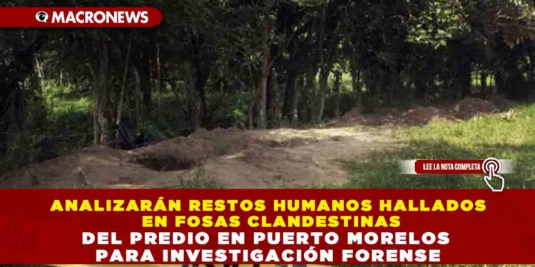 ANALIZARÁN RESTOS HUMANOS HALLADOS EN FOSAS CLANDESTINAS DEL PREDIO EN PUERTO MORELOS PARA INVESTIGACIÓN FORENSE