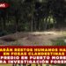ANALIZARÁN RESTOS HUMANOS HALLADOS EN FOSAS CLANDESTINAS DEL PREDIO EN PUERTO MORELOS PARA INVESTIGACIÓN FORENSE