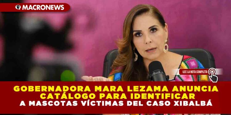 GOBERNADORA MARA LEZAMA ANUNCIA CATÁLOGO PARA IDENTIFICAR A MASCOTAS VÍCTIMAS DEL CASO XIBALBÁ