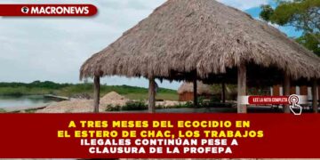 A TRES MESES DEL ECOCIDIO EN EL ESTERO DE CHAC, LOS TRABAJOS ILEGALES CONTINÚAN PESE A CLAUSURA DE LA PROFEPA