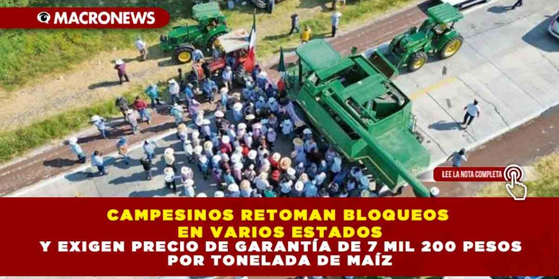 CAMPESINOS RETOMAN BLOQUEOS EN VARIOS ESTADOS Y EXIGEN PRECIO DE GARANTÍA DE 7 MIL 200 PESOS POR TONELADA DE MAÍZ