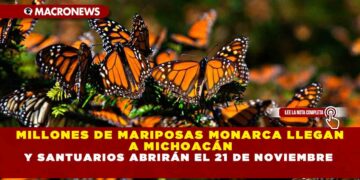 MILLONES DE MARIPOSAS MONARCA LLEGAN A MICHOACÁN Y SANTUARIOS ABRIRÁN EL 21 DE NOVIEMBRE
