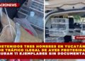 DETENIDOS TRES HOMBRES EN YUCATÁN POR TRÁFICO ILEGAL DE AVES PROTEGIDAS; ASEGURAN 11 EJEMPLARES SIN DOCUMENTACIÓN