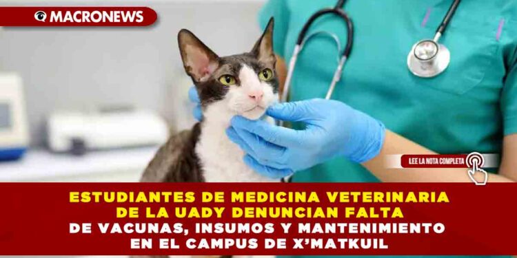 ESTUDIANTES DE MEDICINA VETERINARIA DE LA UADY DENUNCIAN FALTA DE VACUNAS, INSUMOS Y MANTENIMIENTO EN EL CAMPUS DE X’MATKUIL