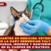 ESTUDIANTES DE MEDICINA VETERINARIA DE LA UADY DENUNCIAN FALTA DE VACUNAS, INSUMOS Y MANTENIMIENTO EN EL CAMPUS DE X’MATKUIL
