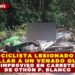 MOTOCICLISTA LESIONADO TRAS ATROPELLAR A UN VENADO QUE CRUZÓ DE IMPR0VISO EN CARRETERA DE OTHÓN P. BLANCO