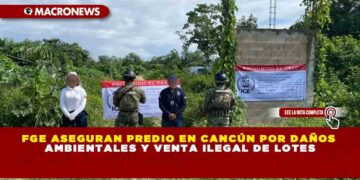 FGE ASEGURAN PREDIO EN CANCÚN POR DAÑOS AMBIENTALES Y VENTA ILEGAL DE LOTES
