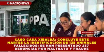 CASO CASA XIBALBÁ: CONCLUYE ESTE MARTES LA IDENTIFICACIÓN DE 135 ANIMALES FALLECIDOS; SE HAN PRESENTADO 257 DENUNCIAS POR MALTRATO Y FRAUDE