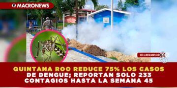 QUINTANA ROO REDUCE 75% LOS CASOS DE DENGUE; REPORTAN SOLO 233 CONTAGIOS HASTA LA SEMANA 45
