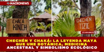 CHECHÉN Y CHAKÁ: LA LEYENDA MAYA QUE UNE BOTÁNICA, MEDICINA ANCESTRAL Y SIMBOLISMO ECOLÓGICO