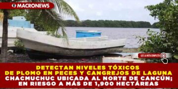 DETECTAN NIVELES TÓXICOS DE PLOMO EN PECES Y CANGREJOS DE LAGUNA CHACMUCHUC UBICADA AL NORTE DE CANCÚN; EN RIESGO A MÁS DE 1,900 HECTÁREAS
