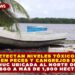 DETECTAN NIVELES TÓXICOS DE PLOMO EN PECES Y CANGREJOS DE LAGUNA CHACMUCHUC UBICADA AL NORTE DE CANCÚN; EN RIESGO A MÁS DE 1,900 HECTÁREAS