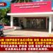 ELIMINAN INFESTACIÓN DE GARRAPATAS EN SECUNDARIA DE CHETUMAL; PROVOCADA POR UN ESTABLO DE CABALLOS CERCANO.
