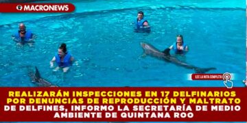 REALIZARÁN INSPECCIONES EN 17 DELFINARIOS POR DENUNCIAS DE REPRODUCCIÓN Y MALTRATO DE DELFINES, INFORMO LA SECRETARÍA DE MEDIO AMBIENTE DE QUINTANA ROO