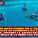 REALIZARÁN INSPECCIONES EN 17 DELFINARIOS POR DENUNCIAS DE REPRODUCCIÓN Y MALTRATO DE DELFINES, INFORMO LA SECRETARÍA DE MEDIO AMBIENTE DE QUINTANA ROO